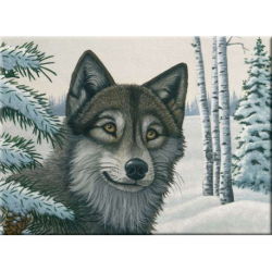 Schilderen op nr. Snow wolf     29