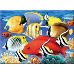 Schilderen op nr. Tropical Fish