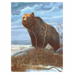 Schilderen op nr : Grizzly Bear