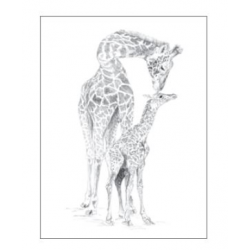 Sketching Giraffe & Baby 222x289mm