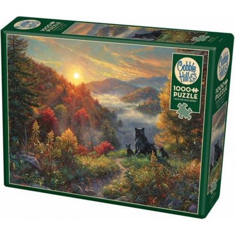 Cobble Hill puzzle New Day 80001