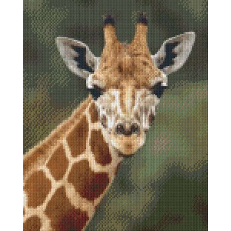 Pixelhobby Pakket 809197 Giraffe