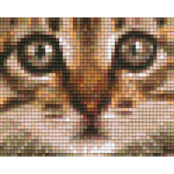 Pixel pakket met 36 matjes/kitten-hoofd-real.bruin