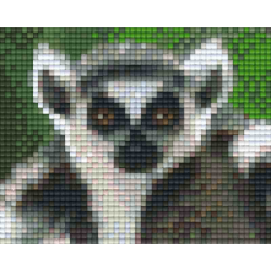 Pixel pakket met 40 matjes/ringstaart 31310