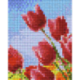 Pixel pakket met 35 matjes/tulpen rood - 31332