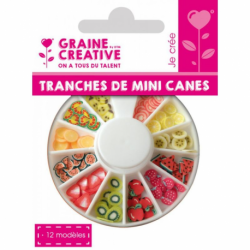 TRANCHES MINI CANES FRUITS ASS 12 MODELES