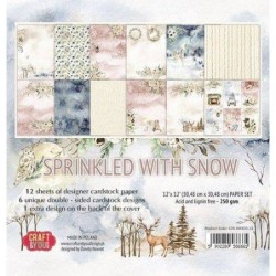 Craft&You Sprinkled with Snow Big Paper Set 12x12
