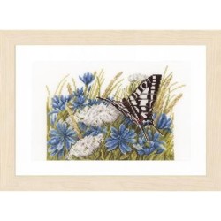 DH Swallowtail and cornflowers